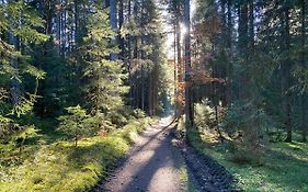 Ferienwohnung Waldblick